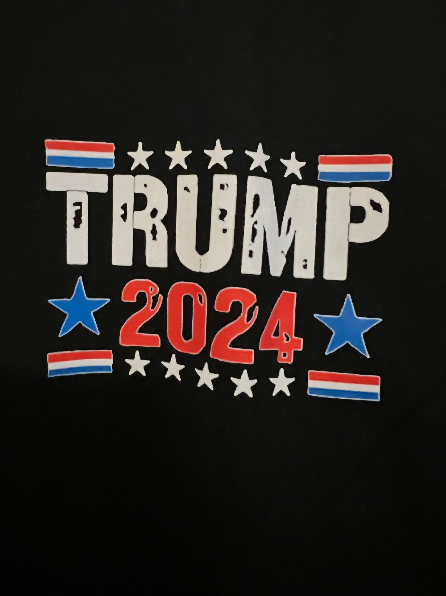 TRUMP 2024 "You Missed" T-Shirt